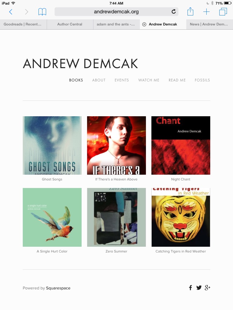 Andrew Demcak www.andrewdemcak.org